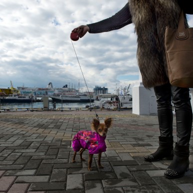 2014-02-05  OLYMPISCHE WINTERSPIELE SOTSCHI, AM HAFEN, Sotschi